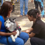 Jornada ecologista y de atención veterinaria benefició a familias y mascotas de la parroquia Ayacucho en Cumaná