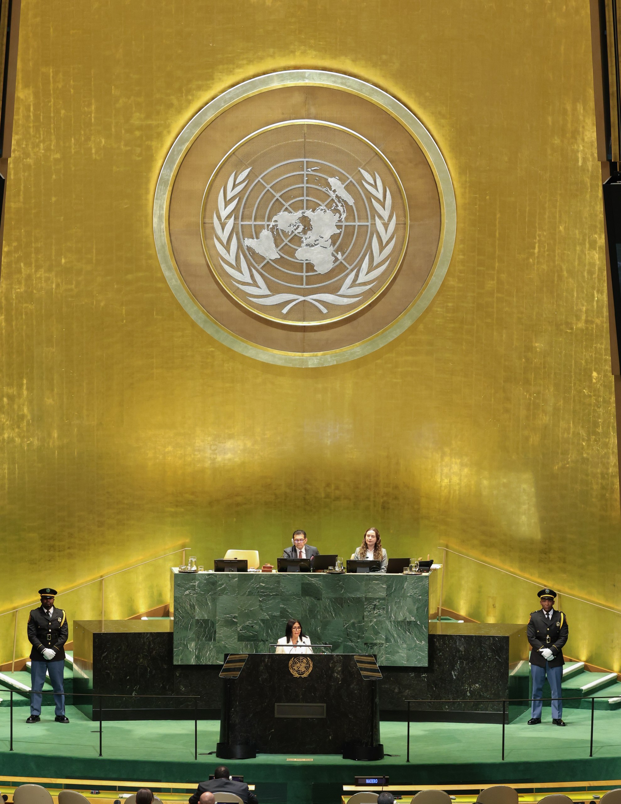 En este momento estás viendo Gobierno Bolivariano impulsa agenda internacional desde la ONU y fortalece la atención social y el empoderamiento de la mujer