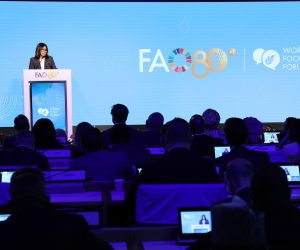 IG+NDP FAO-3-compressed