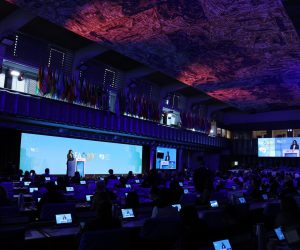 IG+NDP FAO-4-compressed-compressed