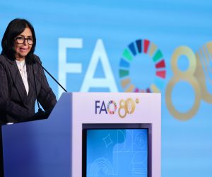 IG+NDP FAO-compressed