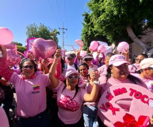 NDP Caminata rosa sucre